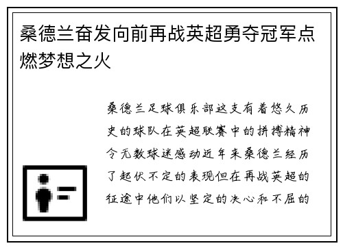 桑德兰奋发向前再战英超勇夺冠军点燃梦想之火