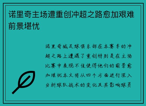诺里奇主场遭重创冲超之路愈加艰难前景堪忧