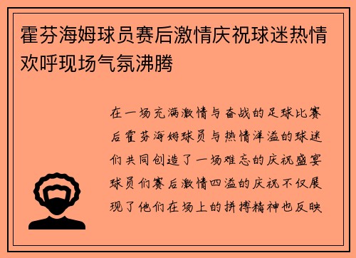 霍芬海姆球员赛后激情庆祝球迷热情欢呼现场气氛沸腾