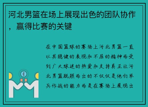河北男篮在场上展现出色的团队协作，赢得比赛的关键